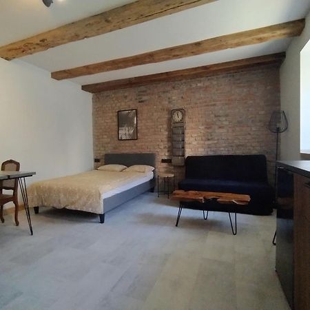 Motyl Apartamenty Studio Lub Pokoj Z Lazienka Bytom Exterior foto