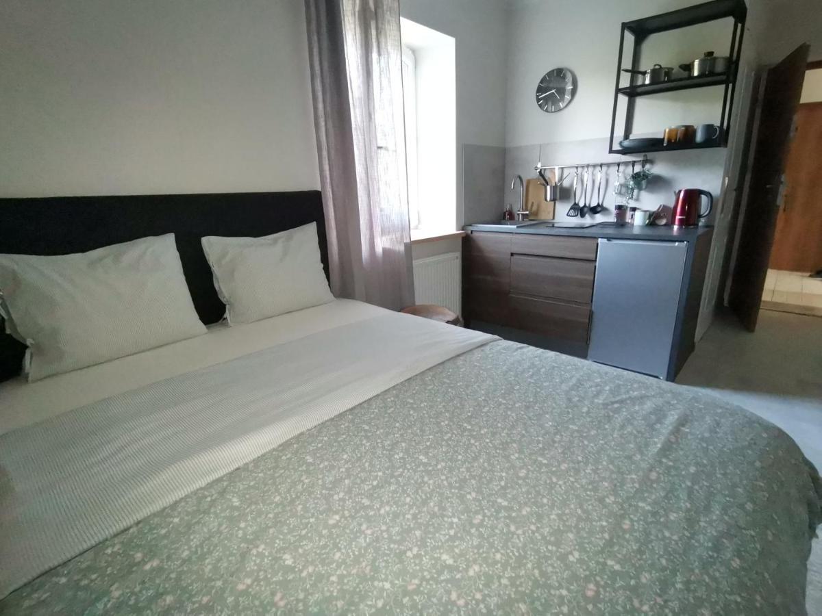 Motyl Apartamenty Studio Lub Pokoj Z Lazienka Bytom Exterior foto