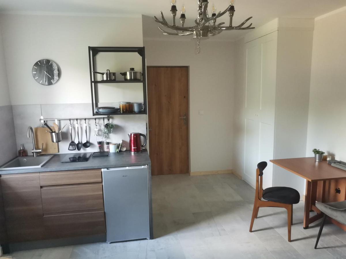 Motyl Apartamenty Studio Lub Pokoj Z Lazienka Bytom Exterior foto