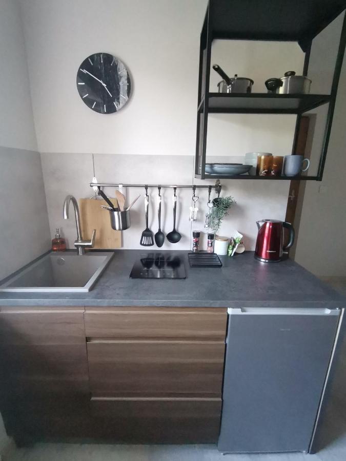 Motyl Apartamenty Studio Lub Pokoj Z Lazienka Bytom Exterior foto